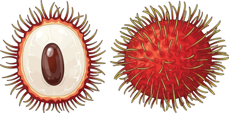 Rambutan fruit with hairy red skin sits beside a peeled one showing the.