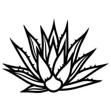 Agave Plant Icon Black and White Line Art