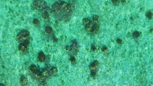 Water surface in vibrant green. Aerial view of a crystal clear sea water texture. View from above natural green background. Green water reflection. Green ocean wave. Summer sea, drone, top view.
