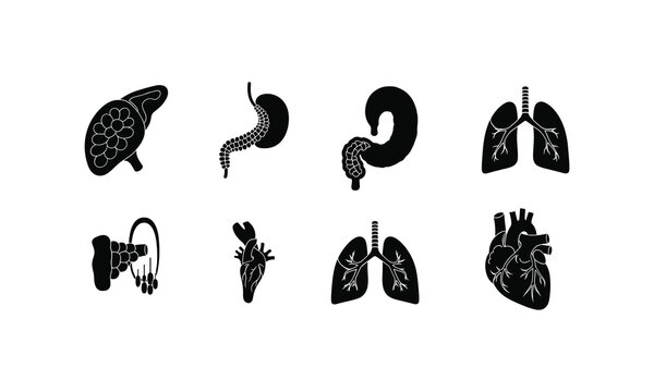 Black and white human organ vector icons set