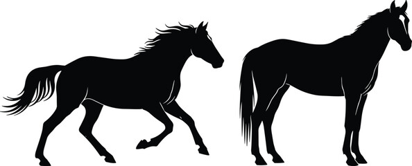 Vector illustration set featuring black silhouettes of a running stallion with a flowing mane and a standing majestic horse, isolated © MdNajmul