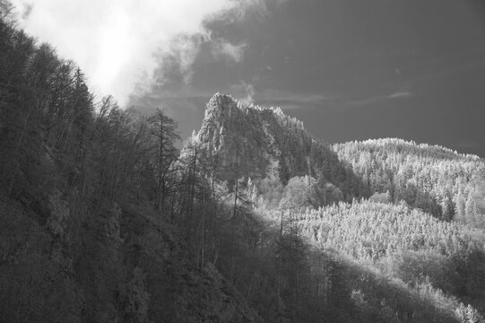 Am Petersbergl