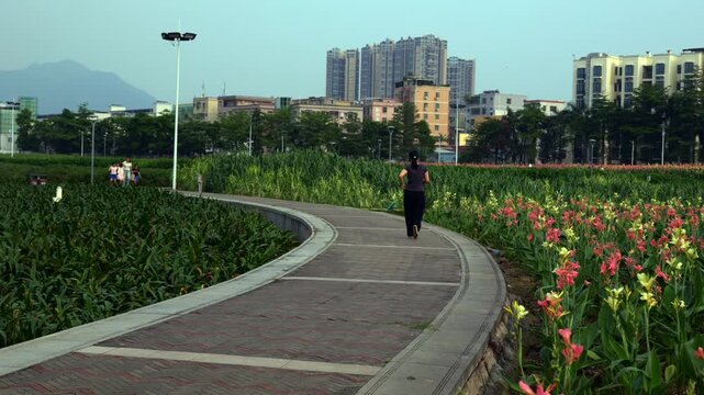 City park winding S-shaped pathway with people walking through colorful flower field under peaceful sky 4K.scenic urban greenway, featuring a curved pedestrian stone path winding through lush canna