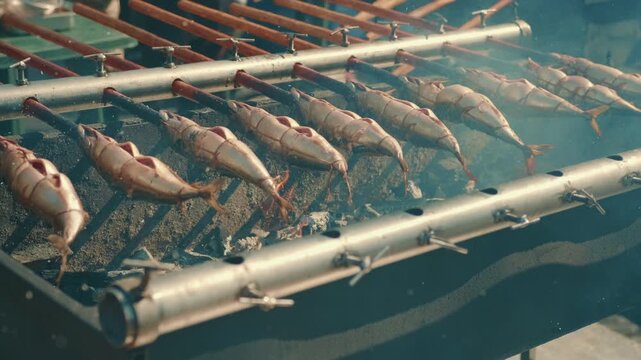 Fish grilling on skewers over hot coals at outdoor food festival. Preparation of traditional grilled seafood snack for healthy meal or street market cuisine menu.