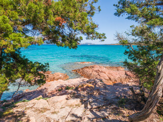 Obraz premium Junipers and red rocks in Porto Istana shore