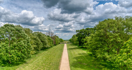 Obraz premium Tree Lined Pathway, 