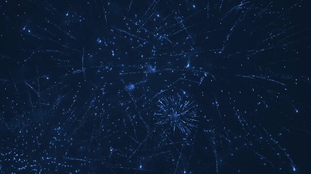 Beautiful firework in dark sky. The color is blue