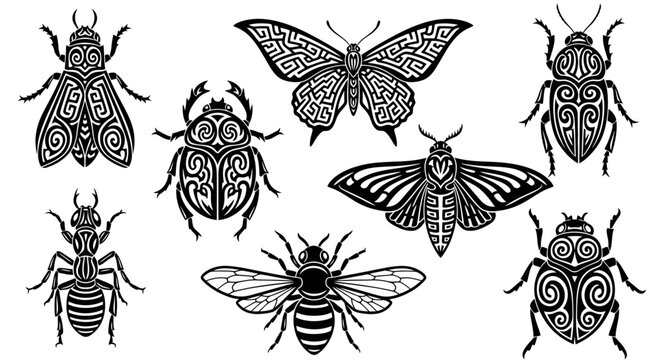 Insect icons, black and white, bug illustrations, 7 designs, vector graphics