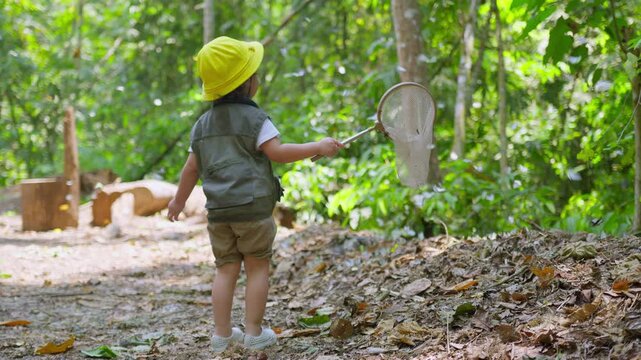 A young child on a nature walk explores a lush green forest, using a butterfly net for discovery and experiential learning about the local ecosystem.