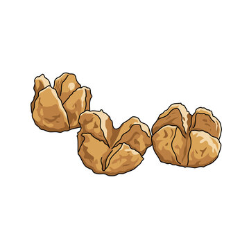 Indonesian bakso goreng multiple fried meatballs vector illustration
