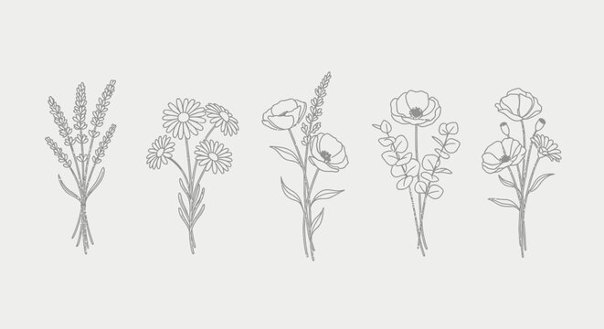 Flowers Botanical illustrations, floral line drawings, flower sketches, minimalist greyscale art isolated on White Background vactor EPS