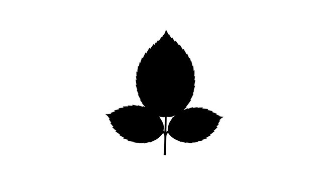 Flowers Black leaf icon, simple leaf symbol, vector leaf graphic, minimalist plant icon isolated on White Background vactor EPS