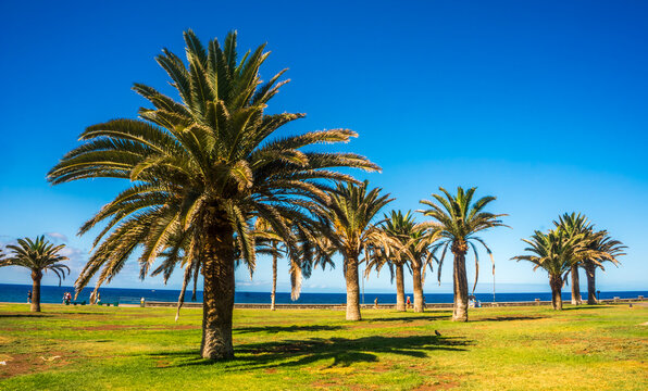 Gran Canaria, Maspalomas