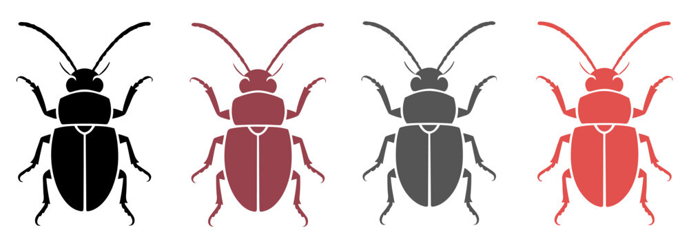 colorful beetle set vector illustration