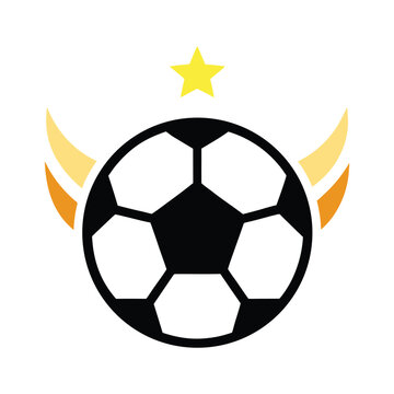 Soccer Ball Vector Logo Design