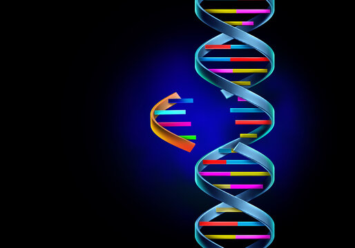 Personalized Gene Therapies tailored genetic treatment to an individual DNA to target the underlying cause of disease more precisely as a doctor or geneticist and oncologist holding genes as a symbol 