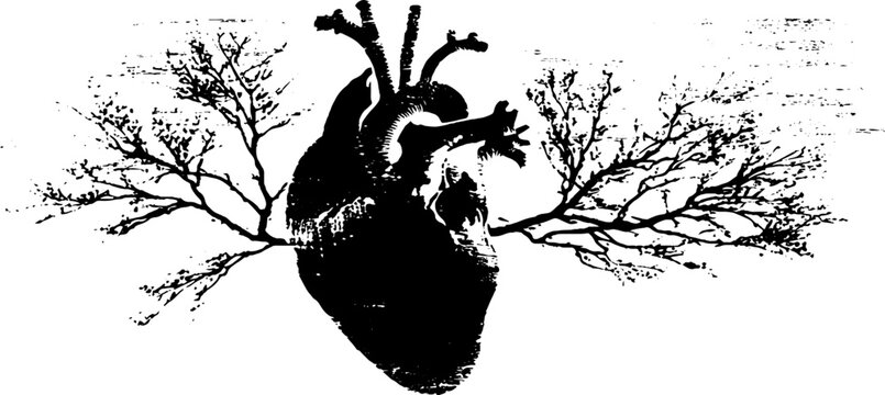Anatomical heart with tree branches high contrast black and white for poster background and tattoo design