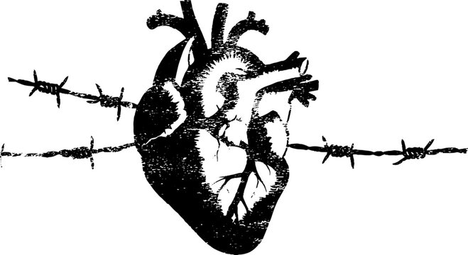 Anatomical heart threaded on barbed wire high contrast black and white graphic for tattoo and poster design