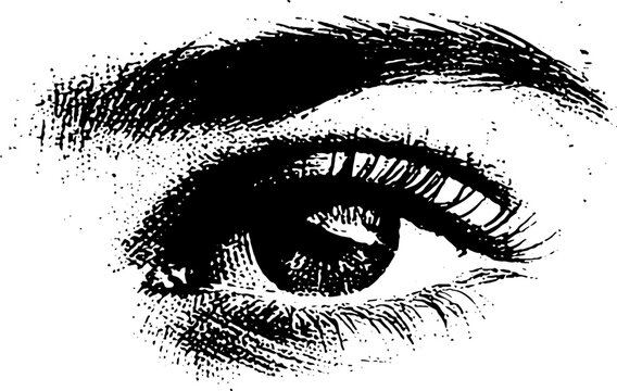 High contrast black and white ink drawing of a single female eye for poster and design elements