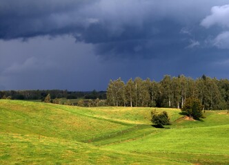 Wide green glade surrounded by a lush forest under a framatic stormy sky. Quiet spring day in the nature. © puchan