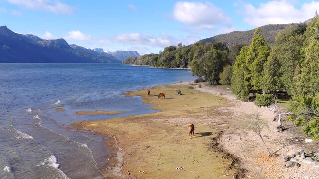 Horses grazing by a lake near Villa Traful with mountains and forest in Patagonia, Argentina.
