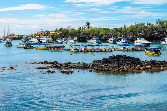 Puerto Ayora Harbor View, Santa Cruz Island, Galapagos Islands
