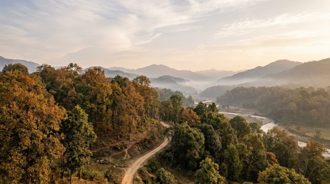 Lush Sal tree clusters developing over hilly terrain with an extraordinary landscape and copy space, scenic composition, natural atmosphere, seasonal color, realistic depth, soft light, crisp focus,