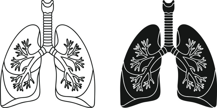Human lungs illustration, bronchial tree structure, respiratory system design, medical anatomy icon, black and white contrast, healthcare concept