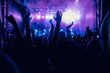 Obraz premium crowd having fun at concert summer music festival