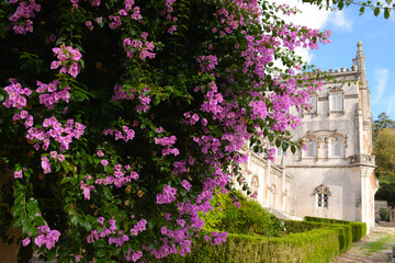 Naklejka premium Blooming bougainvillea and vegetation in the park in front of the Busaco Palace in Portugal Coimbra region. Themes include travel, cultural heritage, and natural beauty.