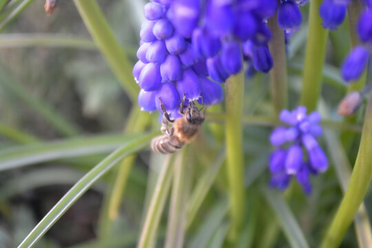 Growth is rarely as peaceful as it looks