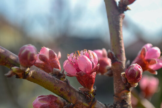 Growth happens even when no one sees it