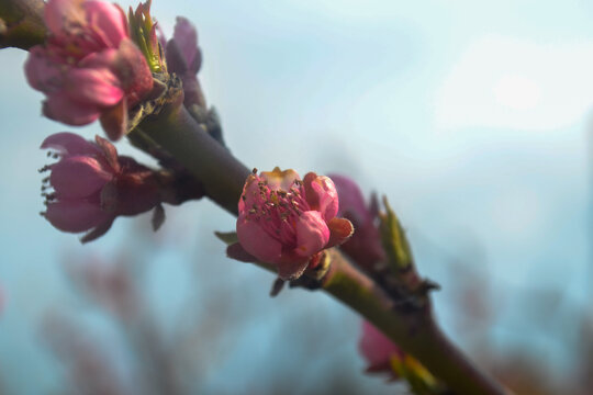 Beauty that doesn&rsquo;t try to impress anyone