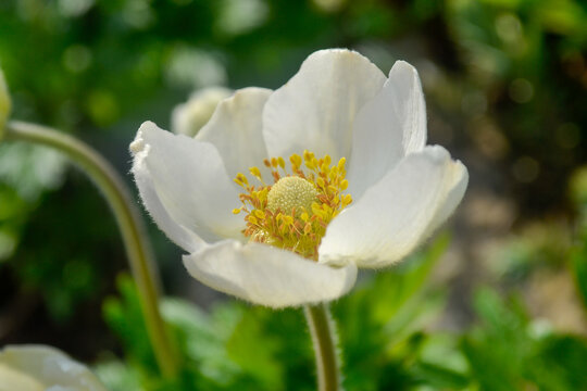 Nature keeps going without waiting for approval