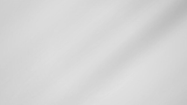 A minimalist white background with subtle texture, evoking simplicity and elegance