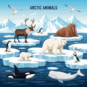 Arctic animals including walrus and polar bear inhabit icy landscapes with sea creatures.