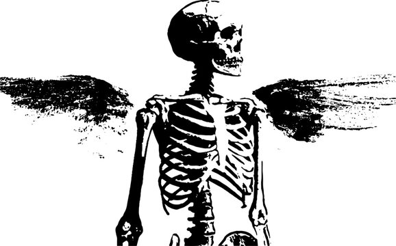 High contrast black and white skeleton with wings standing in profile for gothic poster and tattoo design background