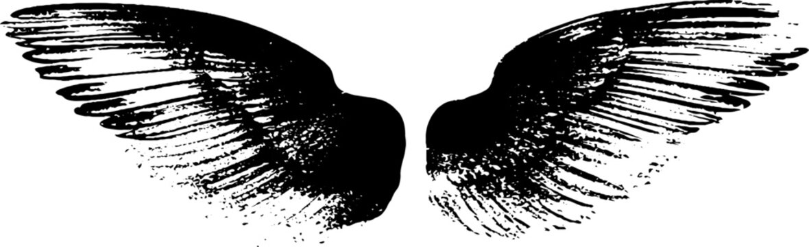 Dramatic black and white angel wings ink silhouette with splatter texture for background and graphic design use in banners posters and wallpaper