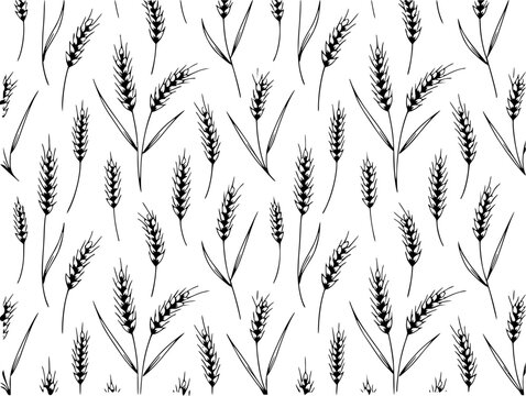 Hand-drawn wheat stalks pattern white background, black and white botanical grain