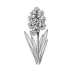 Fototapeta premium PNG Elegant floral sketch illustration