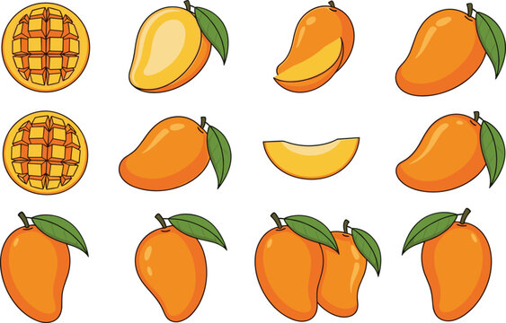 Set of hand drawn mango fruit illustrations including whole mangoes with leaves, half slices, and cubed pieces isolated on white background.