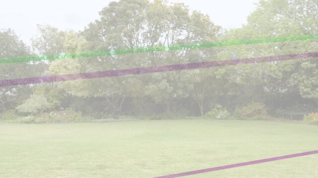 Lawn trees holding while green purple bands starting frame two, moving over scene for motion design