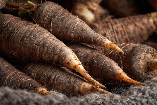 Freshly harvested brown salsify roots arranged on a textured fabric background, showcasing their elongated shape and earthy tones in a close-up view