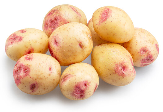 Raw picasso potatoes, fresh uncooked staple food on white background. Clipping paths.
