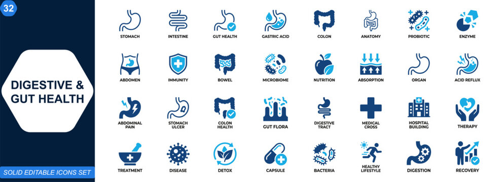 Digestive system and gut health icon set. Digestion, stomach, intestine, gastric care, colon, probiotics, immunity, abdominal pain, clinical medicine, nutrition therapy. Editable icons collection.