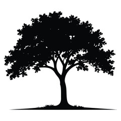 Fototapeta premium Vector silhouette of a tree illustration with branches and leaves in seasonal nature style