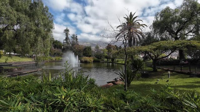 Park in Funchal, Madeira, featuring a central pond with a fountain surrounded by lush greenery and tall trees. The landscape includes walking paths, shaded areas and distant mountain view