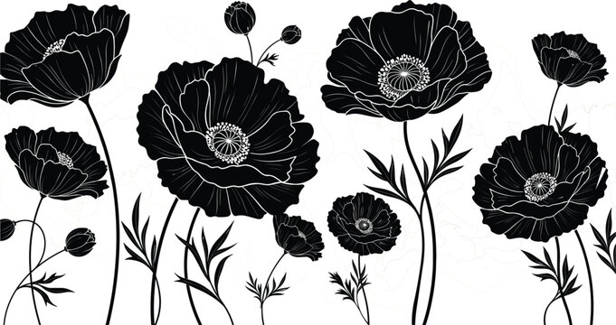 Hand drawn black poppy flower silhouettes with delicate white outlines and stems isolated on white background vector illustration