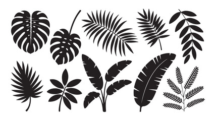 Black and white minimalist feather pattern © Mahfujur Riyad