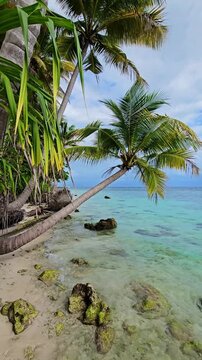 Paradise tropical beach with coconut palm trees and quiet sea, vertical screen.